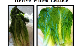 How to Revive Wilted Lettuce